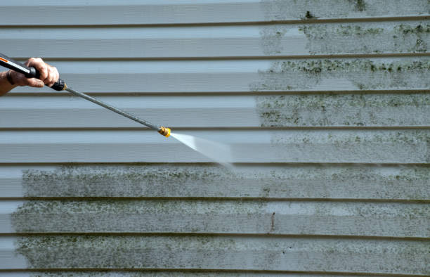 Best Fence Pressure Washing  in Orange City, IA