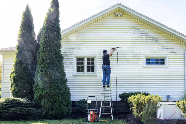Best Roof Pressure Washing  in Orange City, IA